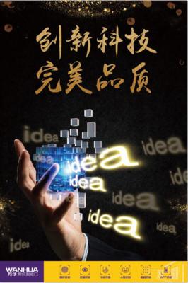 万华门业 铜门新宠，铸就品质生活的艺术之门